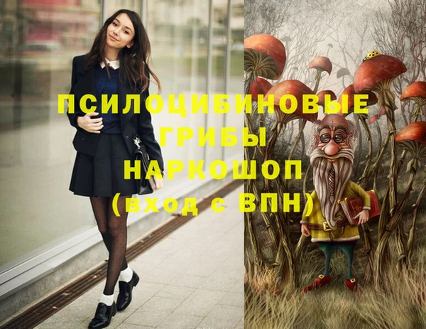 прущая мука Бородино