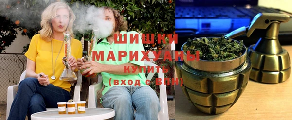 шишки Сосновый Бор
