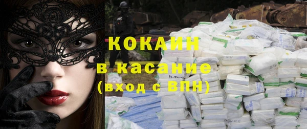 шишки Сосновый Бор