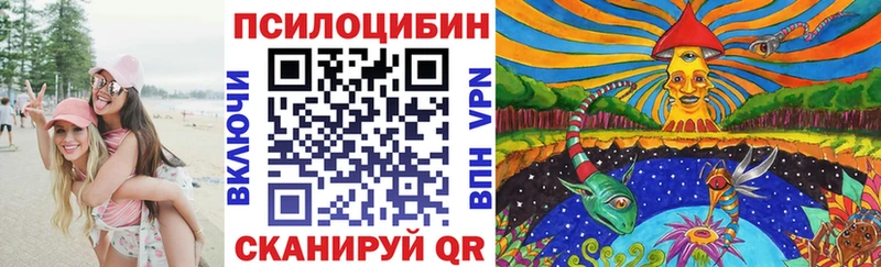купить наркотики сайты  Гаджиево  Псилоцибиновые грибы Psilocybe 